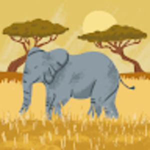 Meet your Posher, Dodanim